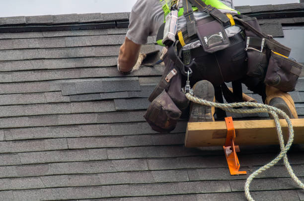 Best Storm Damage Roof Repair  in Anderson, MO