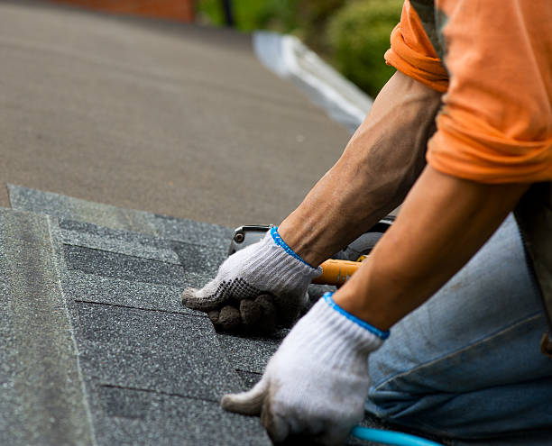 Best Roof Gutter Cleaning  in Anderson, MO