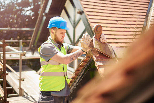 Best Roof Repair Services  in Anderson, MO